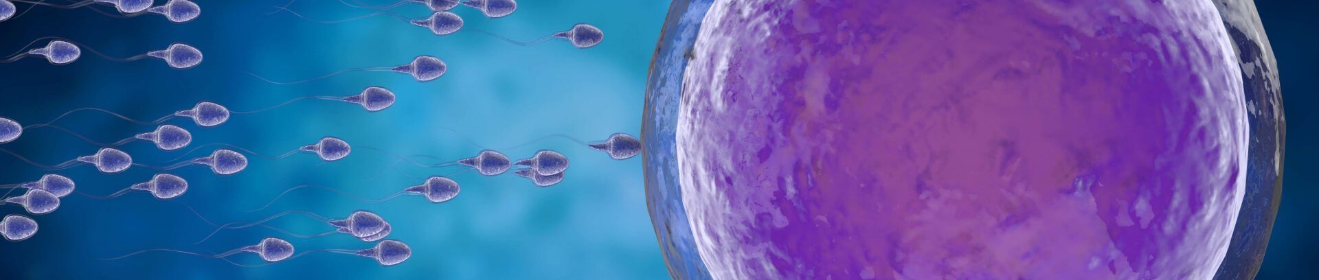embryo cryopreservation