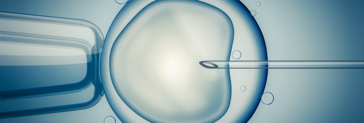 ivf